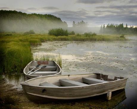 Hampton Inn  Suites Panama City BeachPier Park Area