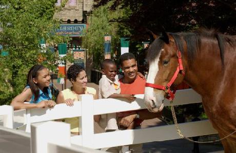 Hampton Inn Virginia BeachOceanfront South