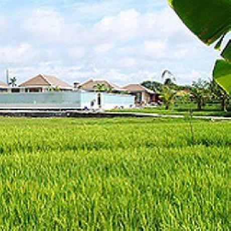 C151 Luxury Smart Villas Resort