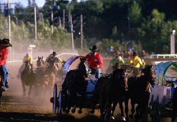 Calgary Marriott Downtown Hotel