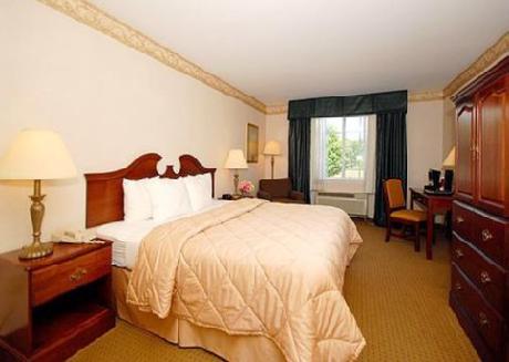 Comfort Inn & Suites East Greenbush