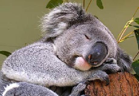 Fairfield Inn & Suites Tampa North