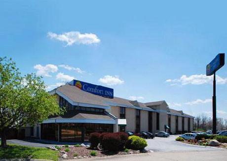 Comfort Inn Northeast