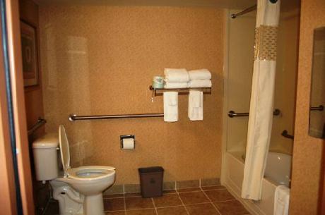 Hampton Inn  Suites Lamar