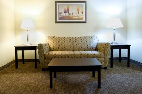 Holiday Inn Express Hotel & Suites DALLAS FT. WORTH AIRPORT SOUTH