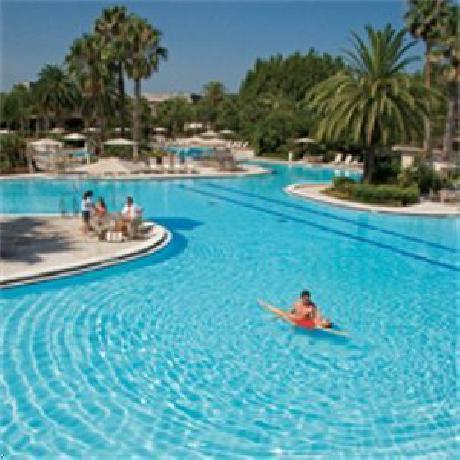 Saddlebrook ResortTampa