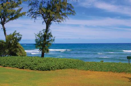 Castle Islander on the Beach