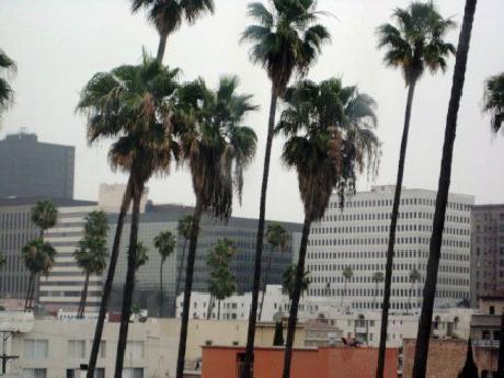 Shelter Hotel Los Angeles