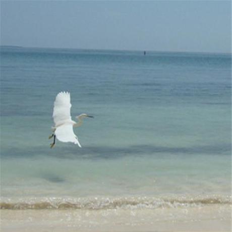 San Pedro De Majagua