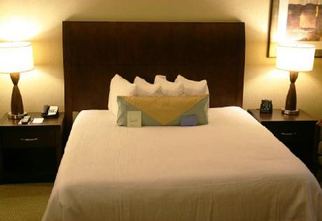 Hilton Garden Inn Atlanta WestLithia Springs