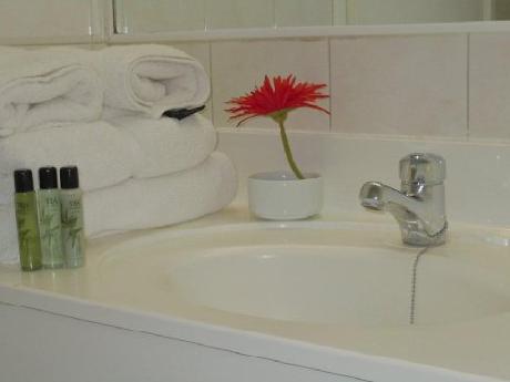 Providencia Suite Apartment