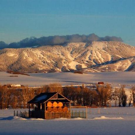 Steamboat Springs Private Home Rentals
