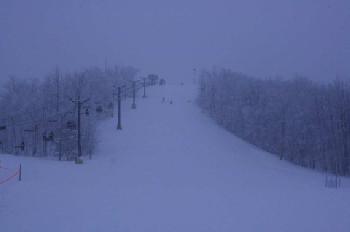 Hampton Inn  Suites Alexandria