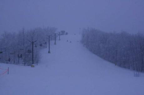 Hampton Inn  Suites Alexandria