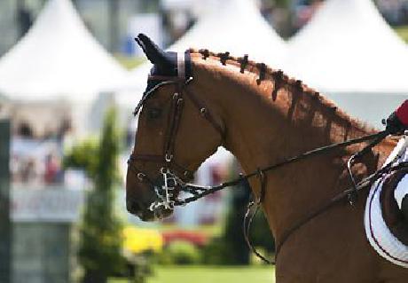 Courtyard Philadelphia Valley Forge/King of Prussia
