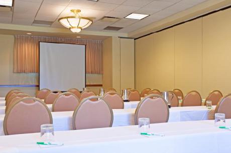 Holiday Inn Hotel & Suites CHICAGO-O'HARE (ROSEMONT)