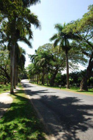 Tanoa International Hotel