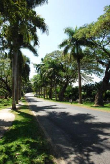 Tanoa International Hotel