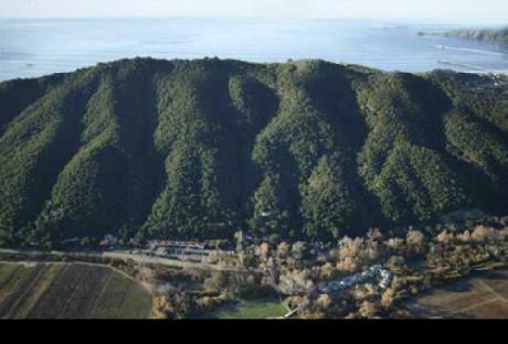 Sycamore Mineral Springs Resort