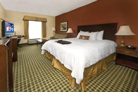 Hampton Inn ATLLawrencevilleI85Sugarloaf