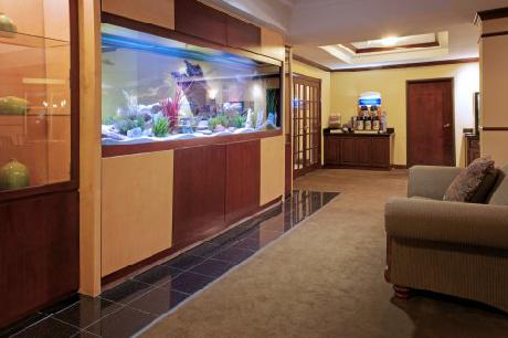 Holiday Inn Express Hotel & Suites PEARLAND