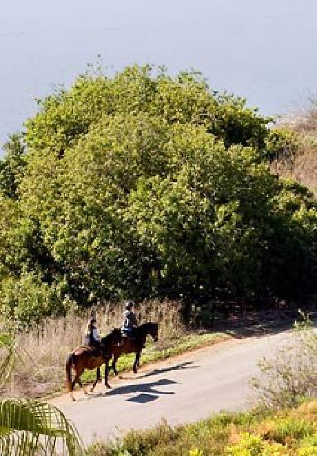 Newport Beach Marriott Bayview