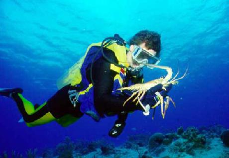 Courtyard Fort Lauderdale Beach