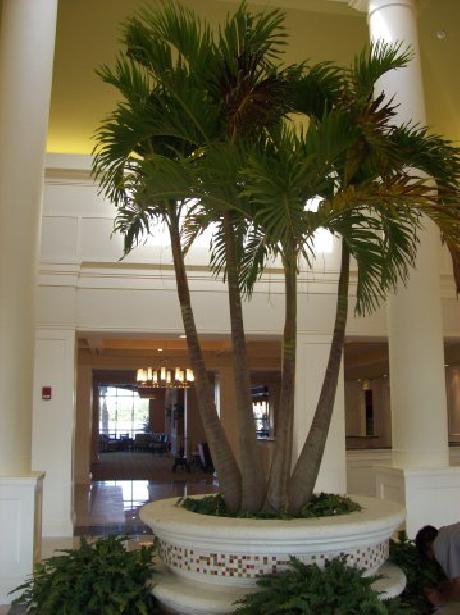 Palm Beach Gardens HGI