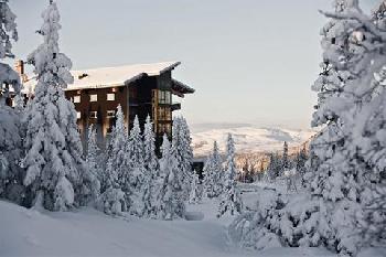 Copperhill Mountain Lodge