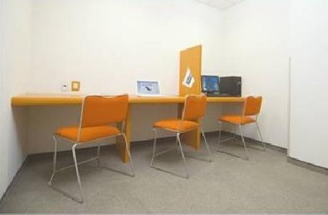 City Junior Chihuahua