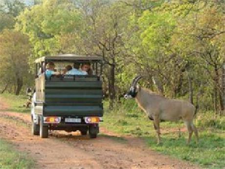 DADDY LONG LEGS ART HOTEL