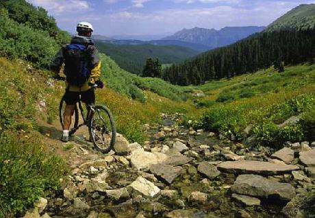 Denver Marriott West