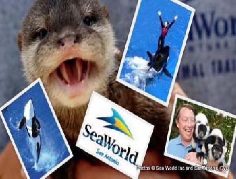 Days Inn San Antonio Splashtown/ATT Center