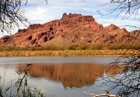 Residence Inn Phoenix Desert View at Mayo Clinic