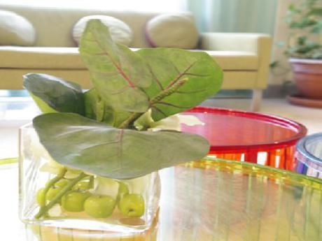 Astotel Acadia Opera