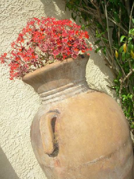 The Alpine Inn and Suites