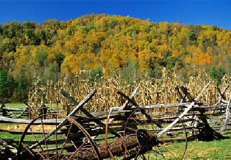 SpringHill Suites Asheville