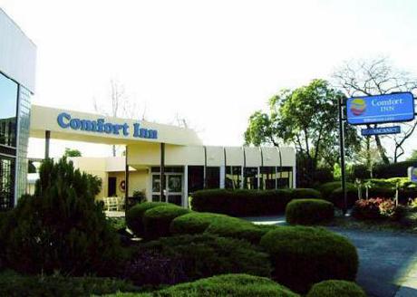 Comfort Inn Ringwood Lake