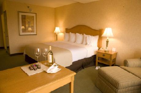 Holiday Inn Select CHICAGO-NAPERVILLE