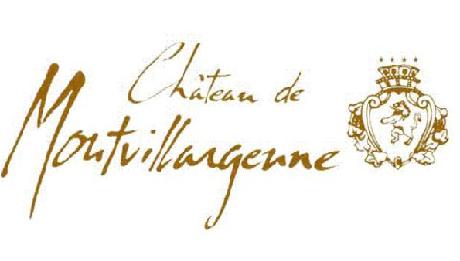 Chateau de Montvillargenne