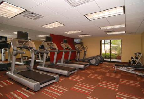 Courtyard Dallas DFW Airport South/Irving