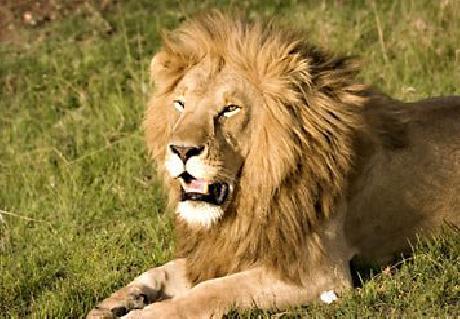 Salt Lake City Marriott University Park