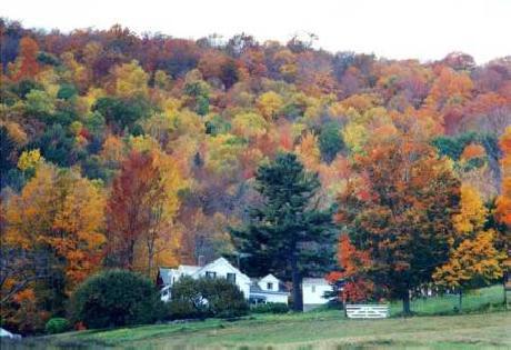 Arcady at Sunderland Lodge