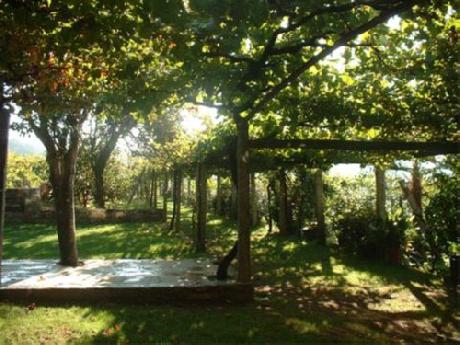 Domus Selecta Pazo De Galegos