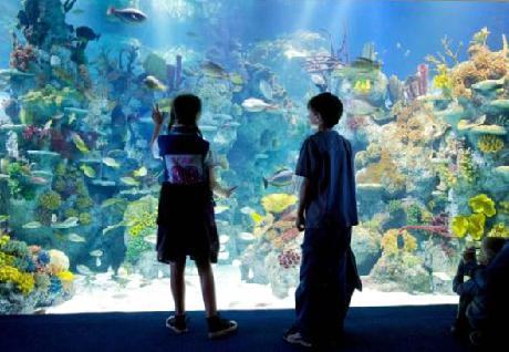 Bristol Marriott Hotel City Centre