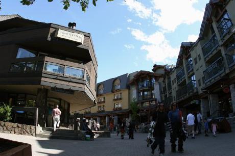 Raintree's Whiski Jack at Whistlerview Whistler