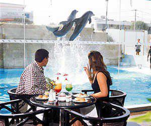Delfines Hotel & Casino