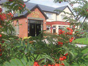 Minotel Darby O Gill s