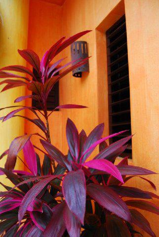 Casita de Maya Hotel