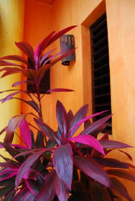 Casita de Maya Hotel